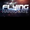 Flying Harrogate
