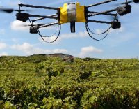 flying-drone-farmer.jpg